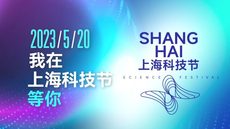 数据湖与AI平台：优缺点解析与实际应用考量