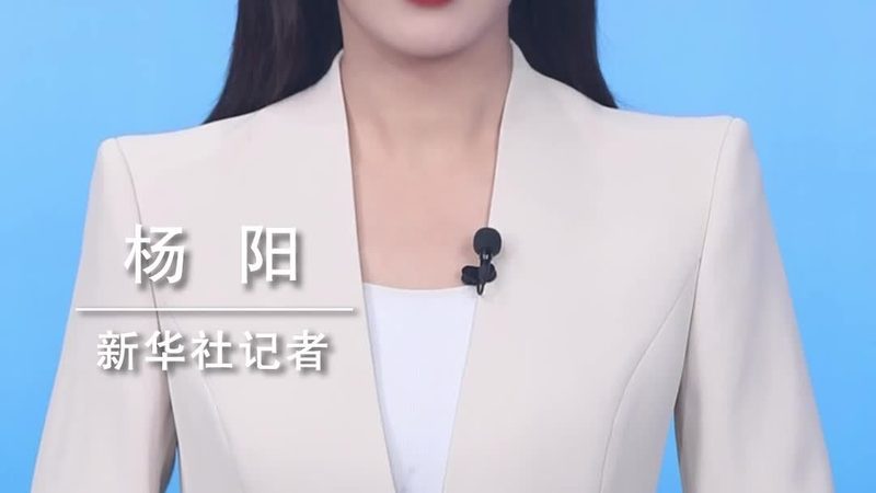 政务云运维服务方案定制：如何构建高效、安全的政务云平台